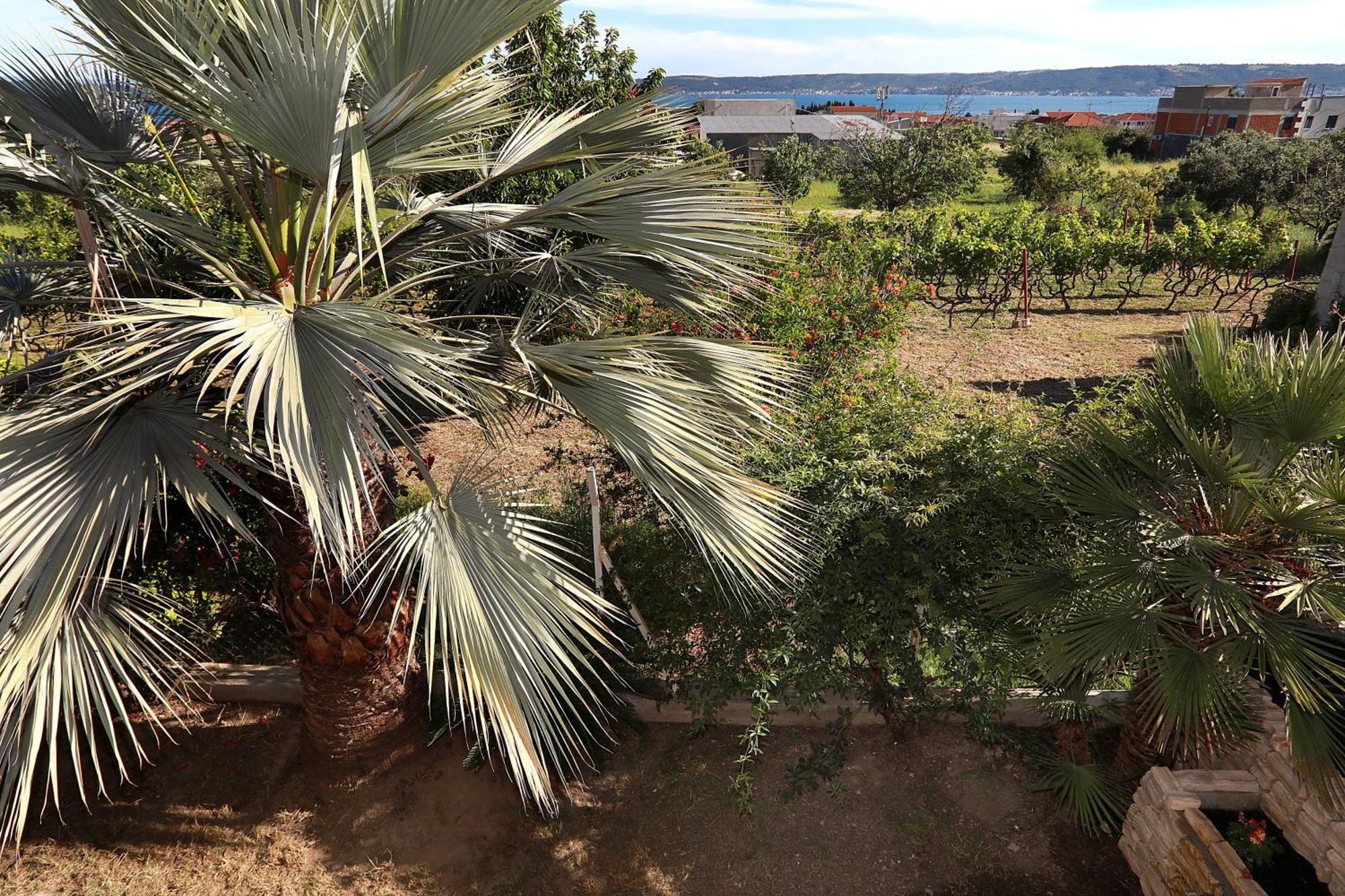 Mediterrianen Paradise Kaštela المظهر الخارجي الصورة